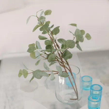 Le Riviera Croisette דירה